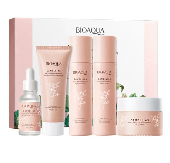 KIT CAMELIAS EN CAJA X5 BIOAQUA