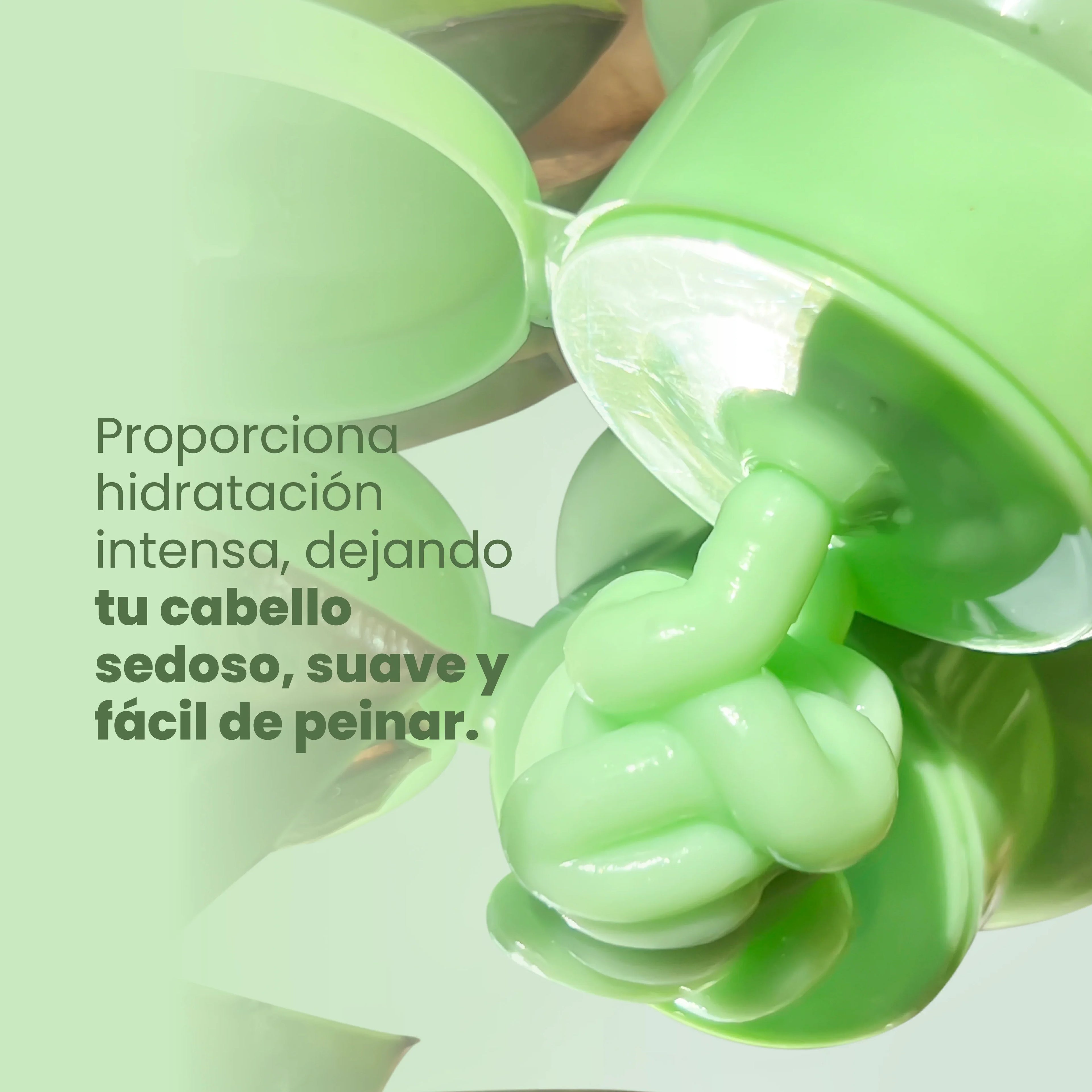 ACONDICIONADOR CON EXTRACTO DE GINSENG Y ALOE VERA ANYELUZ 500 g