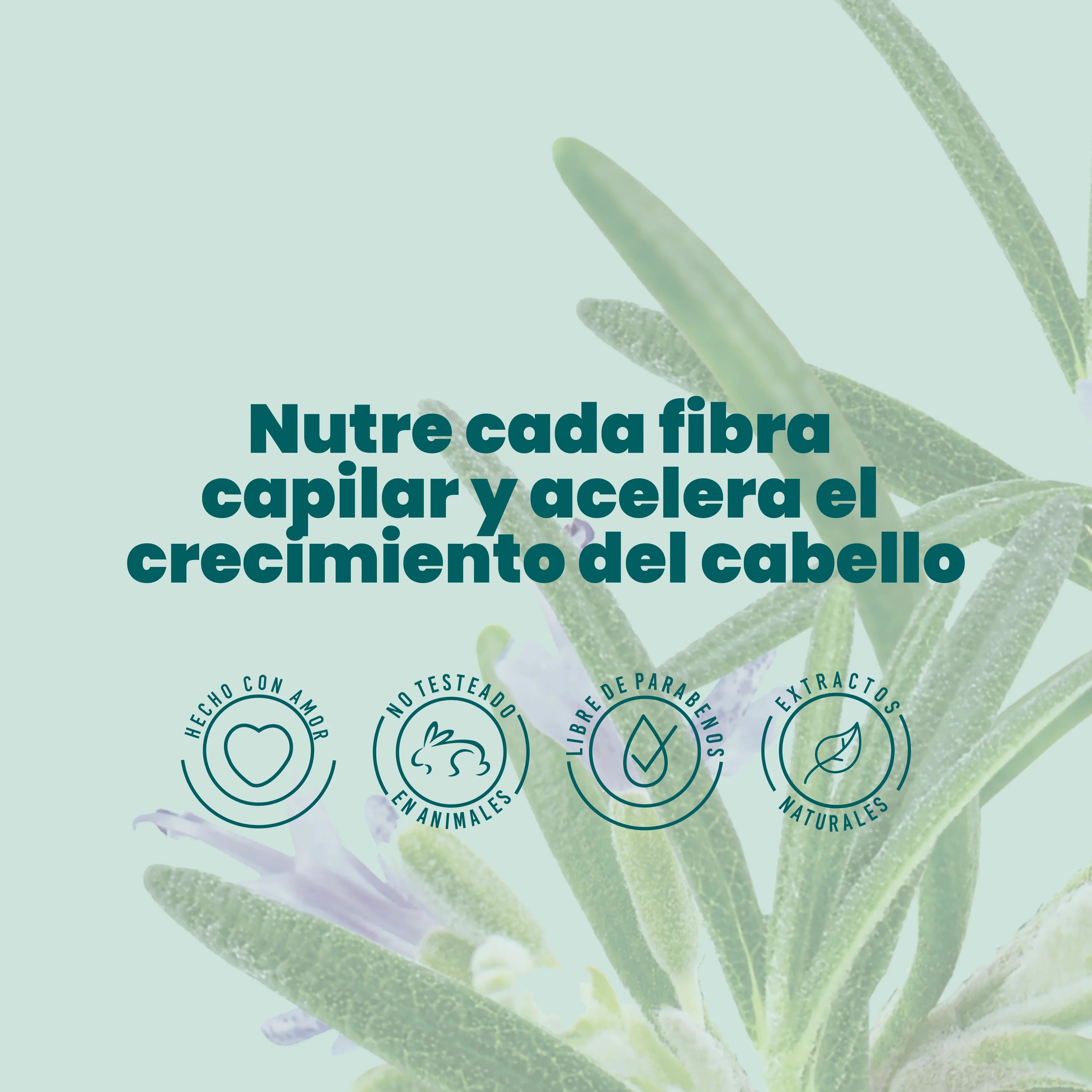 ACONDICIONADOR CON ROMERO ANYELUZ 500ml