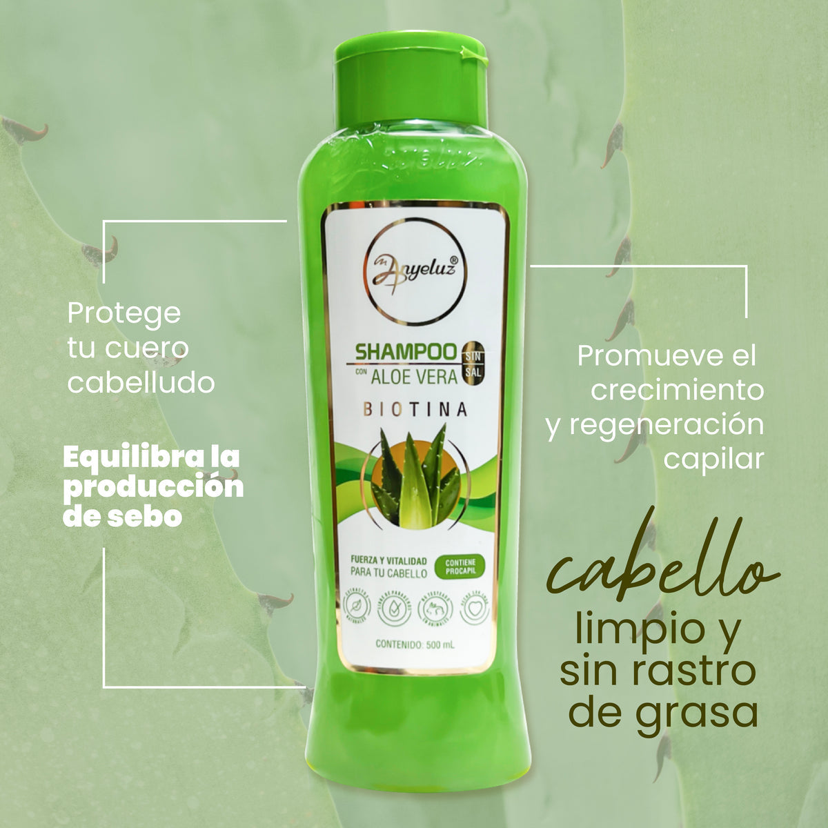 SHAMPOO ALOE VERA ANYELUZ 500ml
